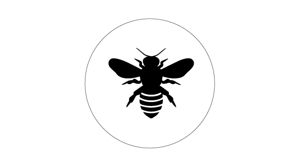HONEY BEE