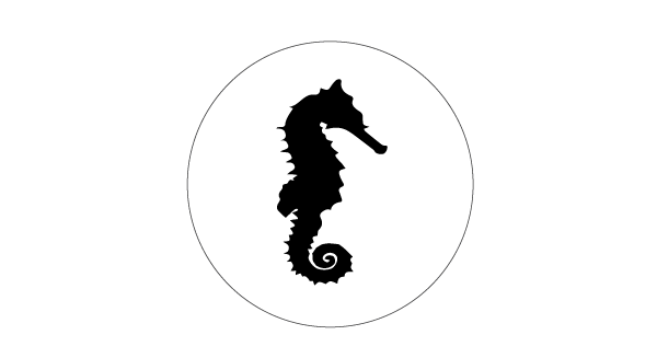 SEAHORSE