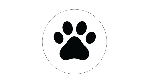 FELINE