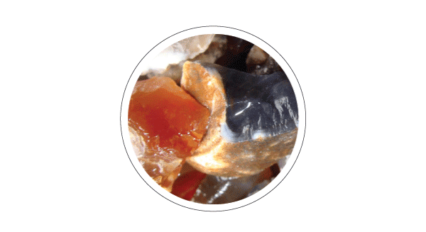 Agate