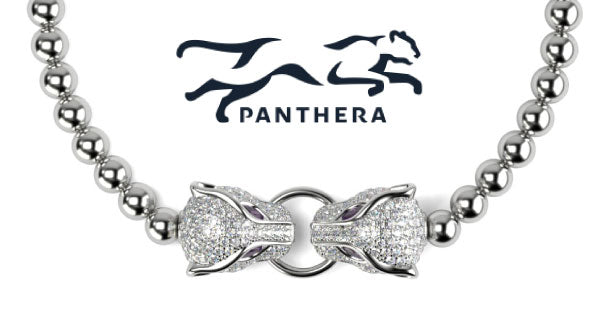 NOGU x PANTHERA