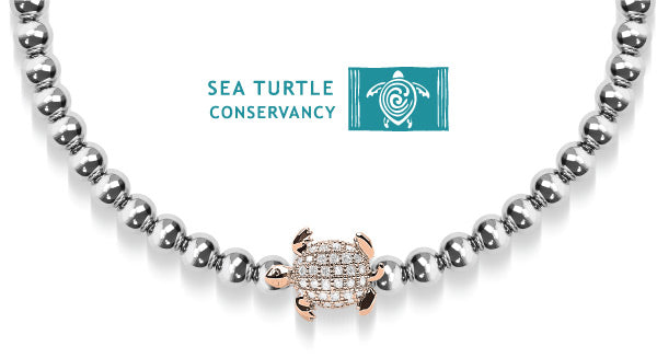 NOGU x SEA TURTLE CONSERVANCY