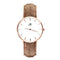 Bathurst - Rose Gold Timepiece with Brown Leather