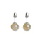 Grey Line Agate | .925 Sterling Silver | Stone Stud Earrings