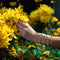 Daffodil | Silver | Yellow Crystal Charm Bracelet