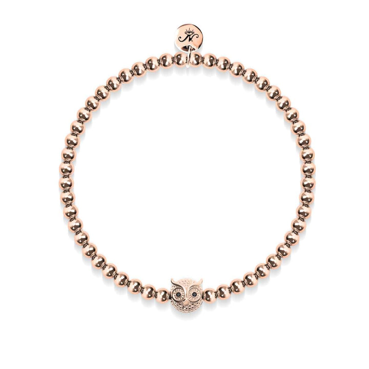 Wisdom | 18k Rose Gold | Crystal Night Owl