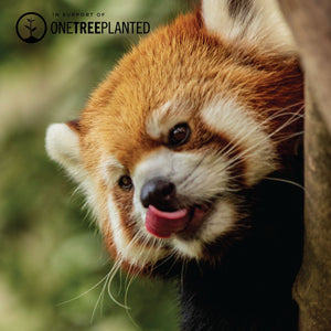 Red Panda Links | Deluxe Kismet Bracelet | Red x Silver | Men's