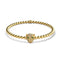Fierce | Gold Vermeil | CZ Diamond Cat Bracelet