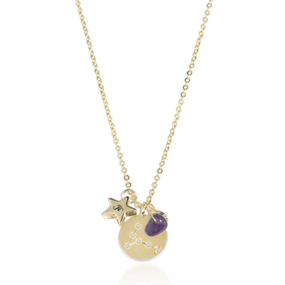 Pisces gold zodiac crystal amethyst birthstone necklace