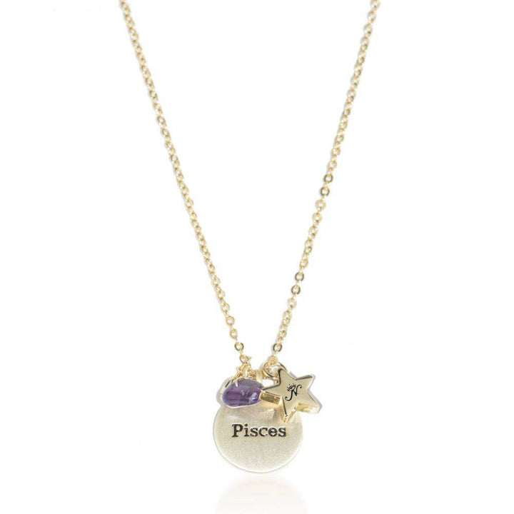 Pisces gold zodiac crystal amethyst birthstone necklace
